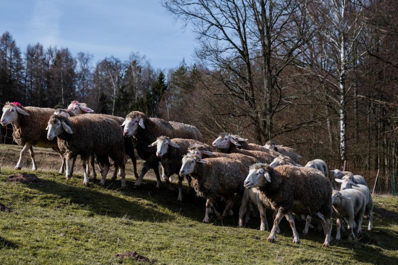 Ferienhaeuser Zur Schaeferei Mitwitz ภายนอก รูปภาพ